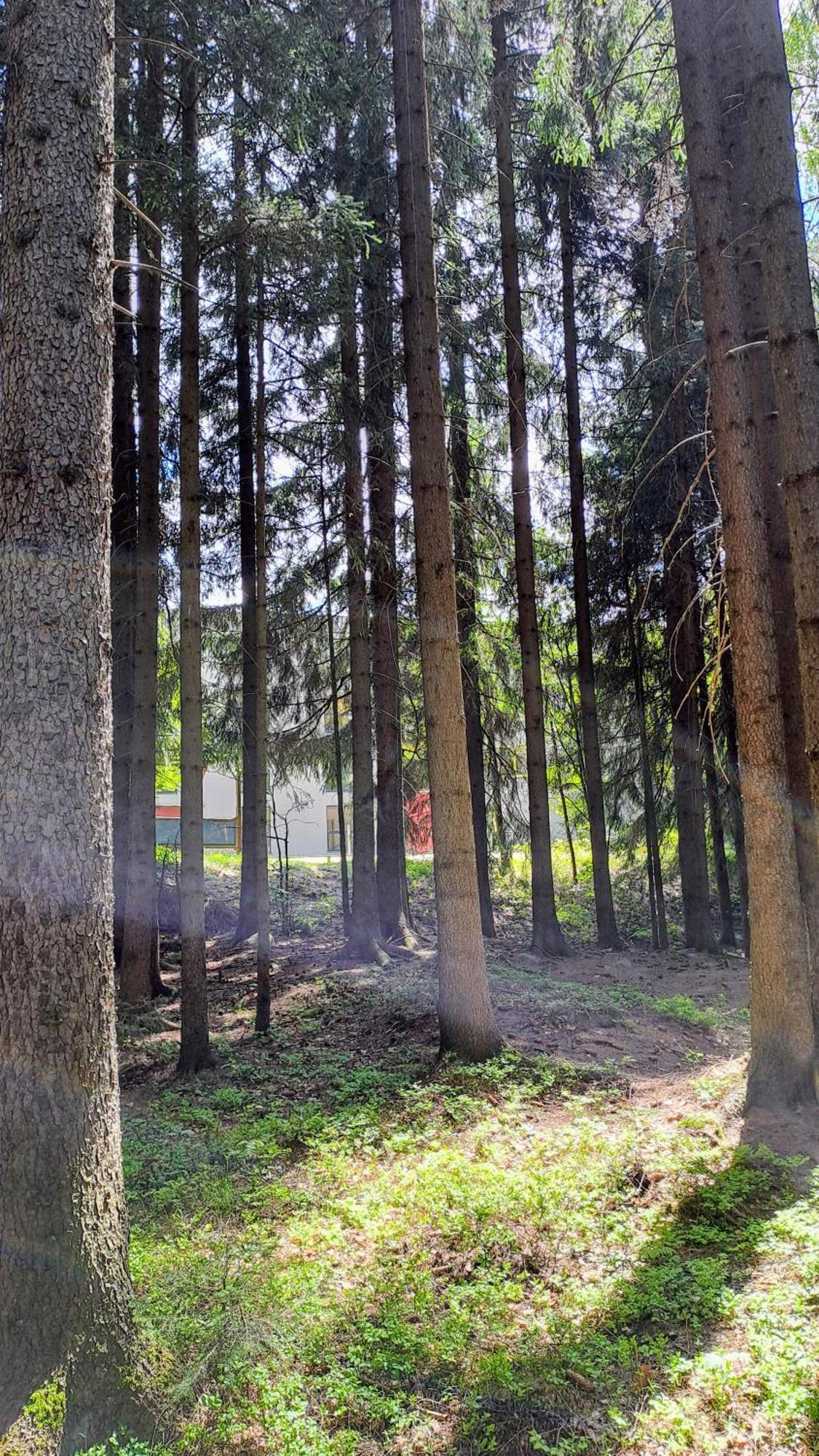 Plne Vybaveny Apartman Pod Mumlavskym Vodopadem, Zahrada S Ohnistem, Idealni Vychozi Bod Pro Turistiku, U Cesty Na Hrebeny, Kousek Do Centra, Absolutni Klid, Vybaveny I Pro Deti, Wellness A Fitko Naproti Харачов Екстериор снимка
